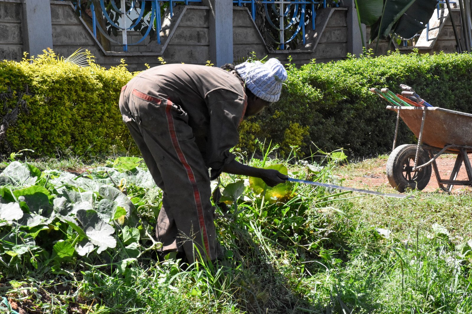 community service-15